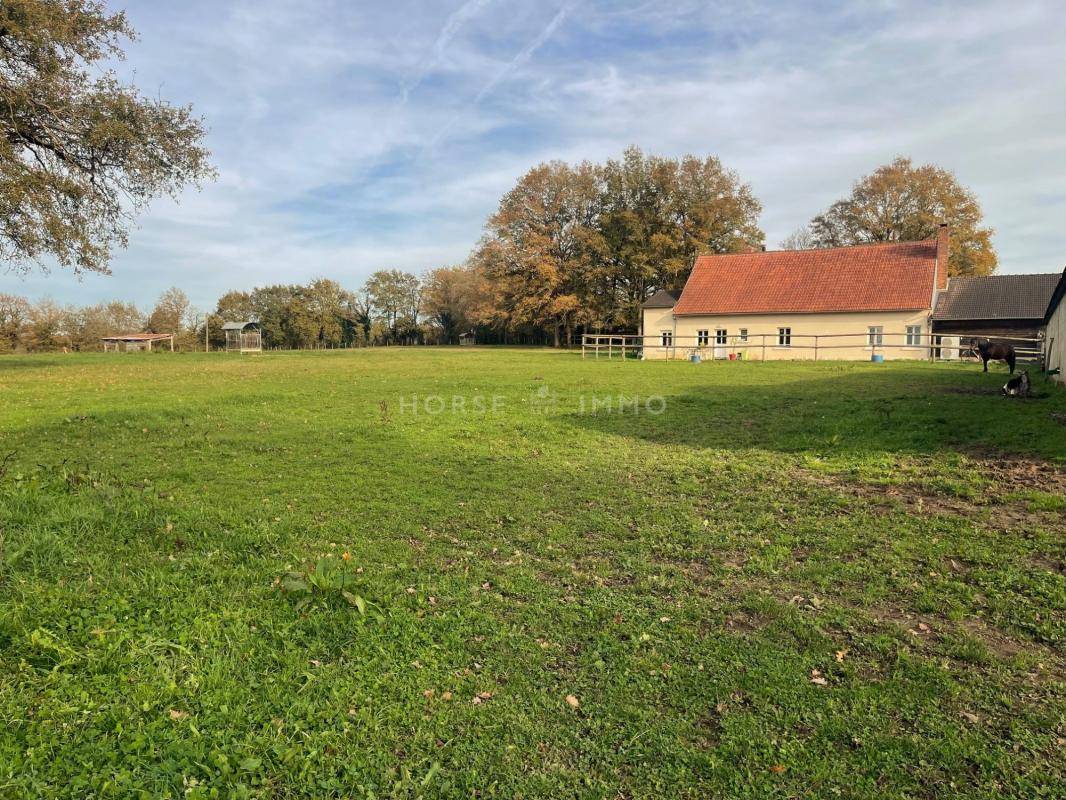 Centro di stagione cavallo In vendita Maine-et-Loire