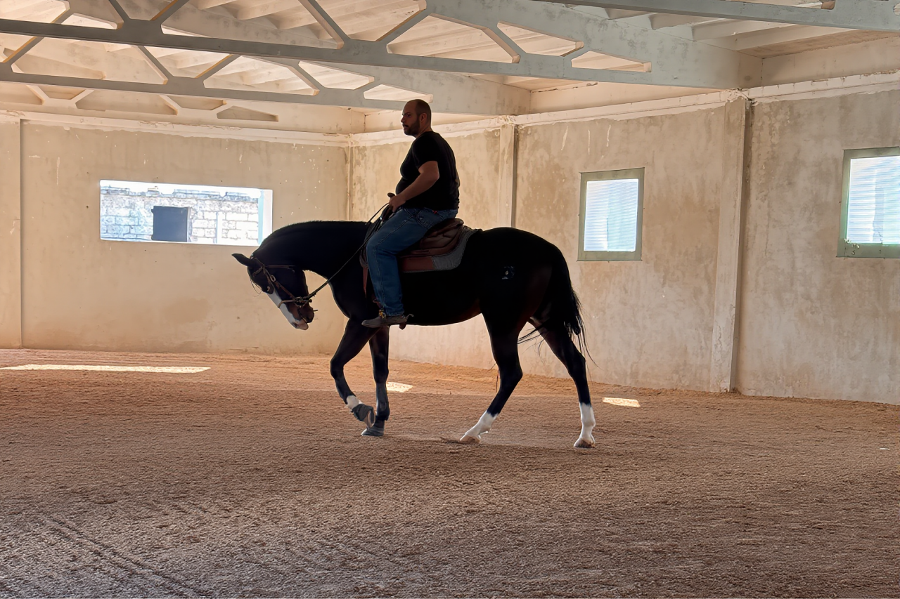 Quarter Horse Derby 2026