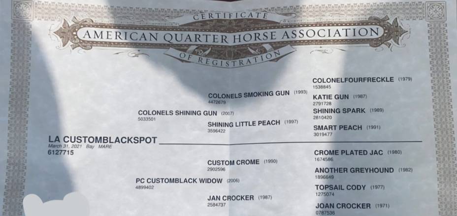 Quarter Horse Derby 2026