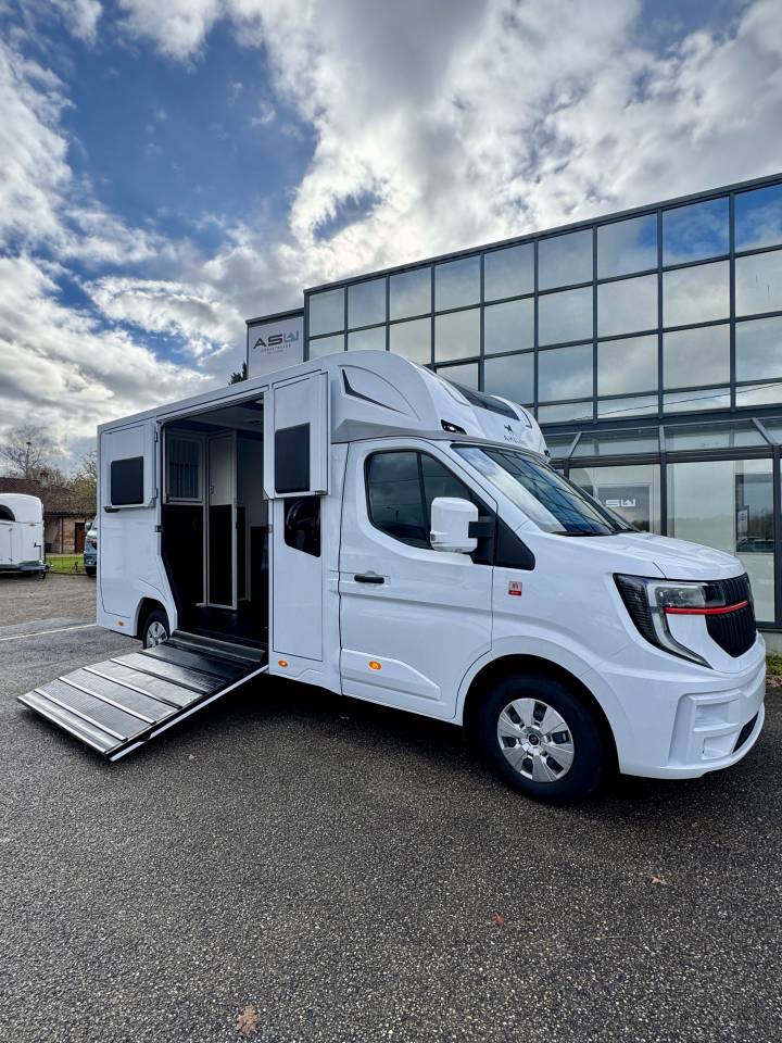 Van per Cavalli Ameline Renault Master 2025 Nuovo