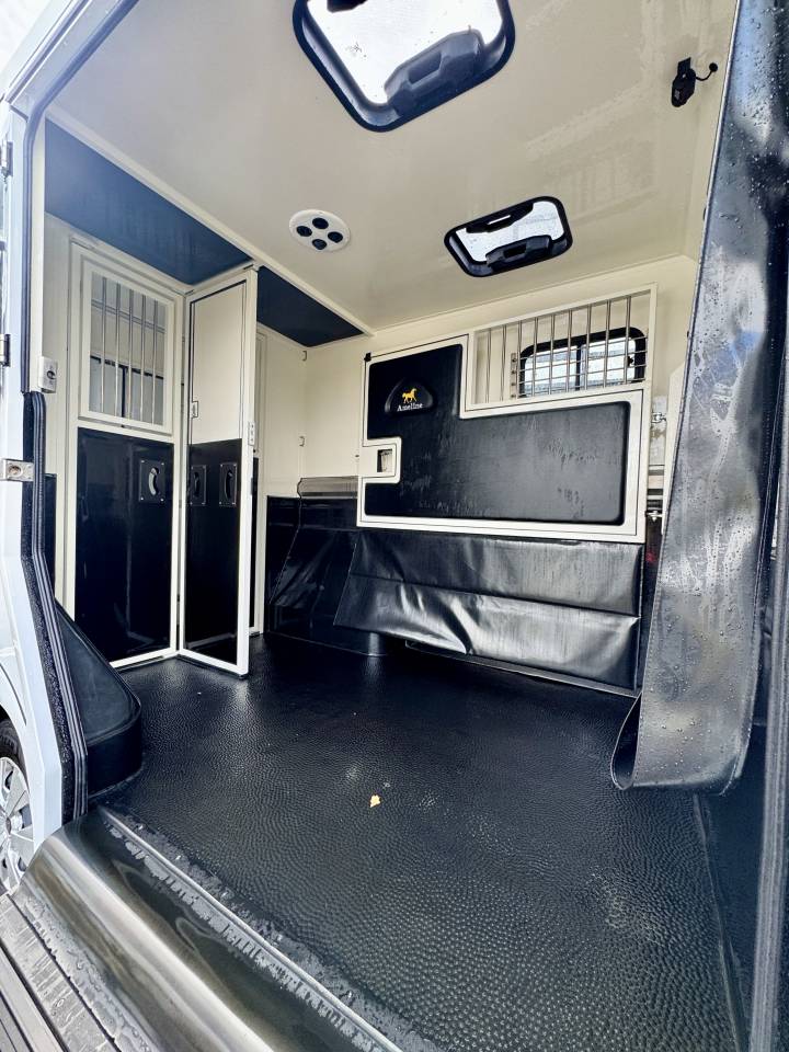 Van per Cavalli Ameline Renault Master 2025 Nuovo