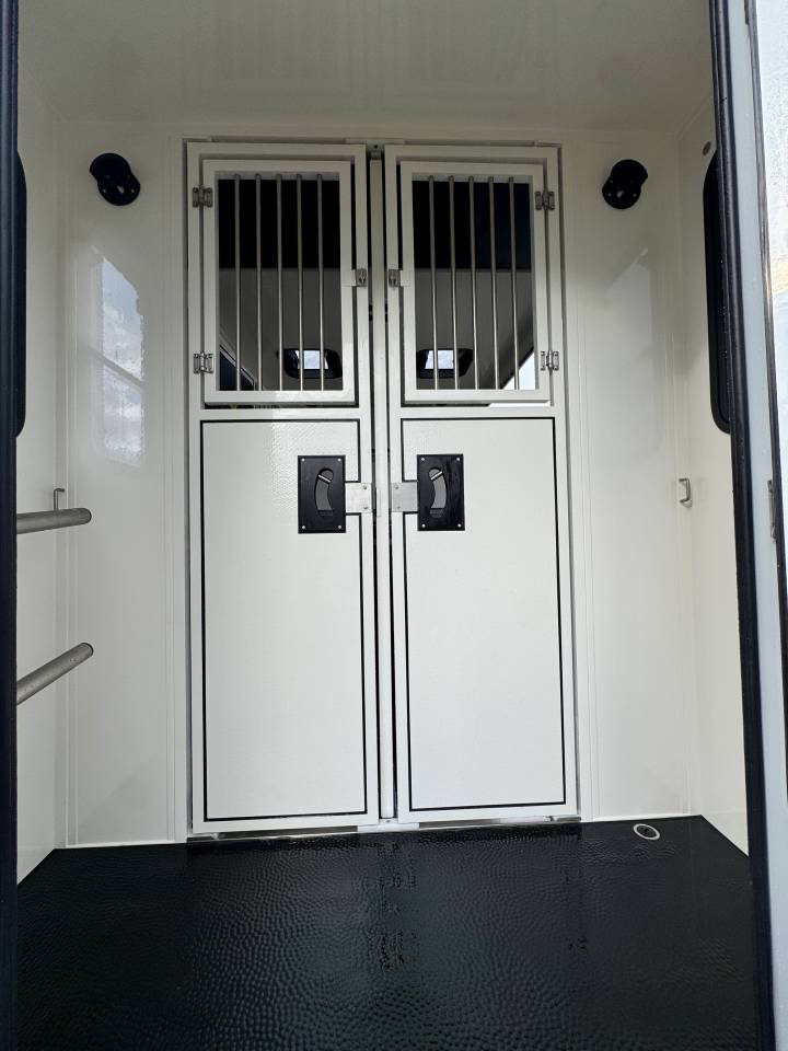 Van per Cavalli Ameline Renault Master 2025 Nuovo