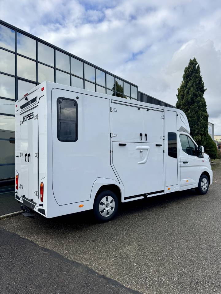 Van per Cavalli Ameline Renault Master 2025 Nuovo