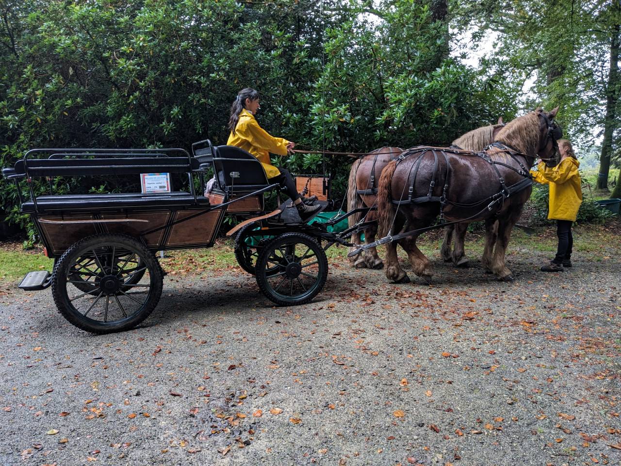 Attacchi - Wagonnette - Altra marca -  