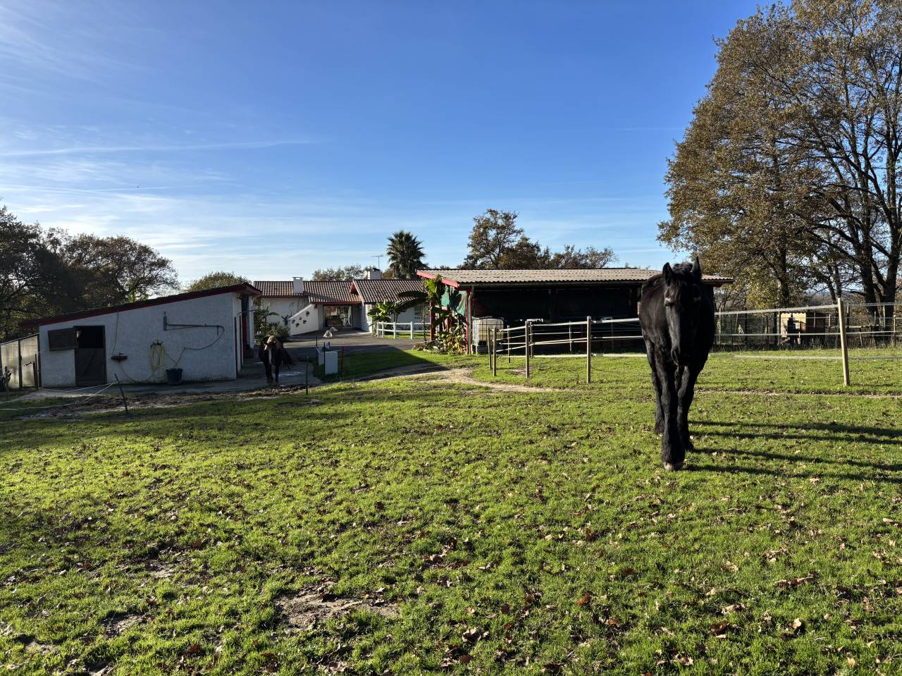 Proprietà equestre In vendita Landes