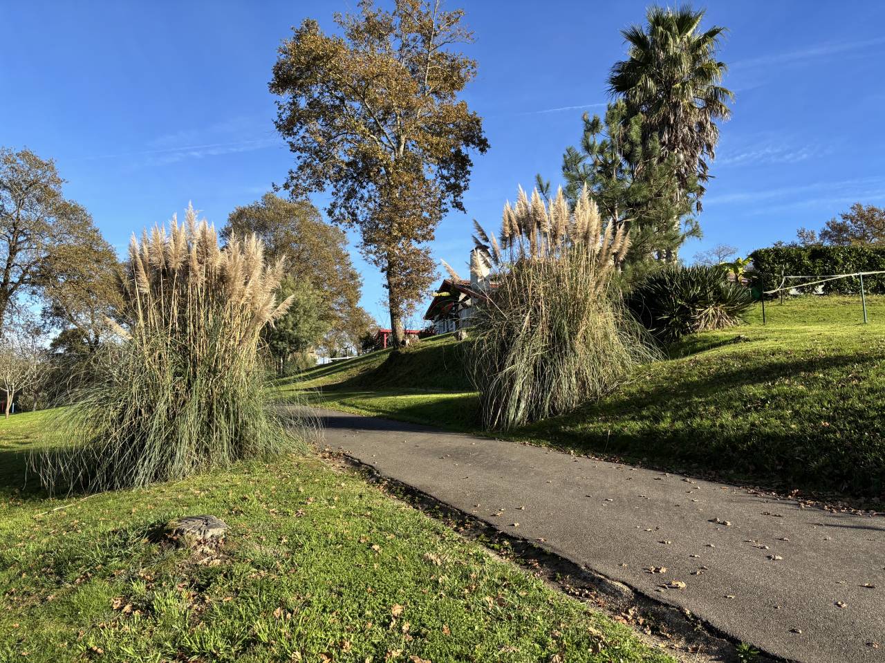 Proprietà equestre In vendita Landes