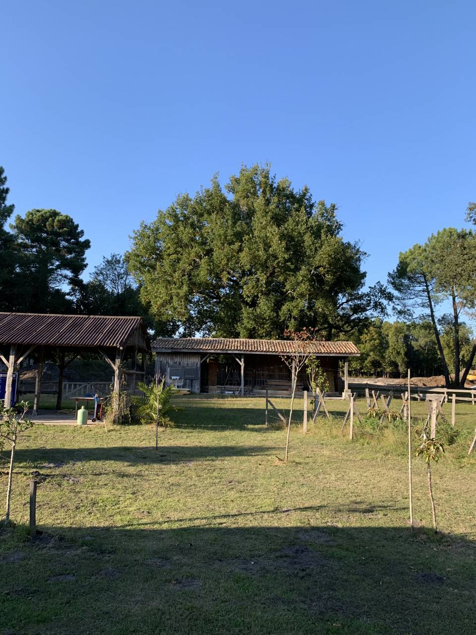 Proprietà equestre In vendita Gironde