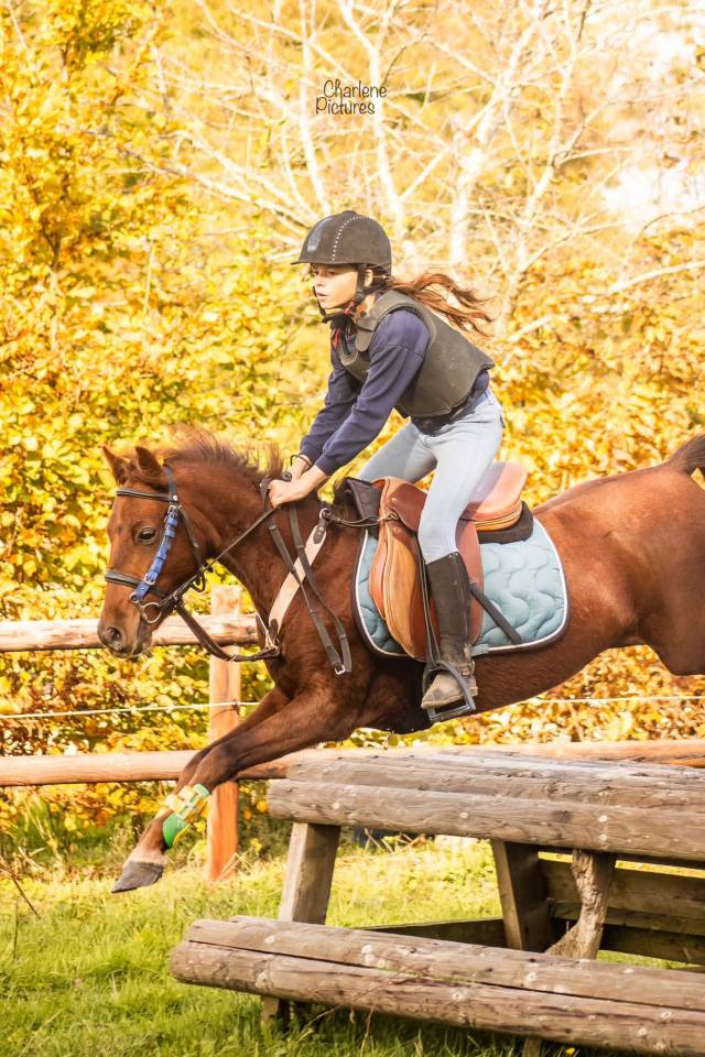 Castrone Origine Non Constatata In vendita 2020 Sauro brulé