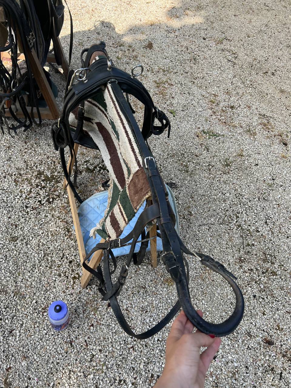 Attacchi - Sulky pony  Sulky 