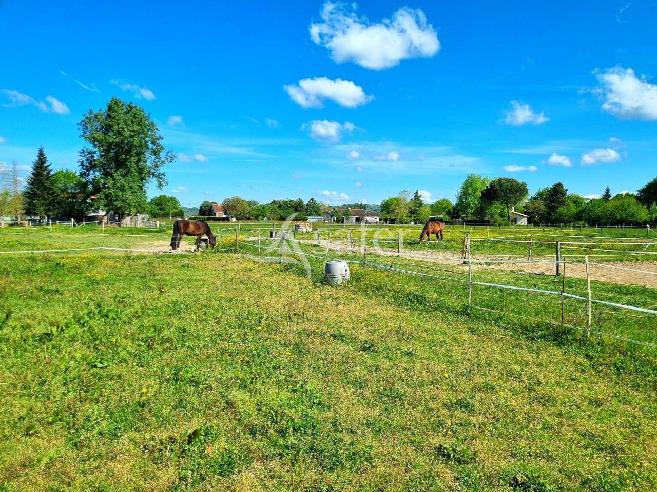 Propriet&agrave; equestre In vendita Tarn-et-Garonne