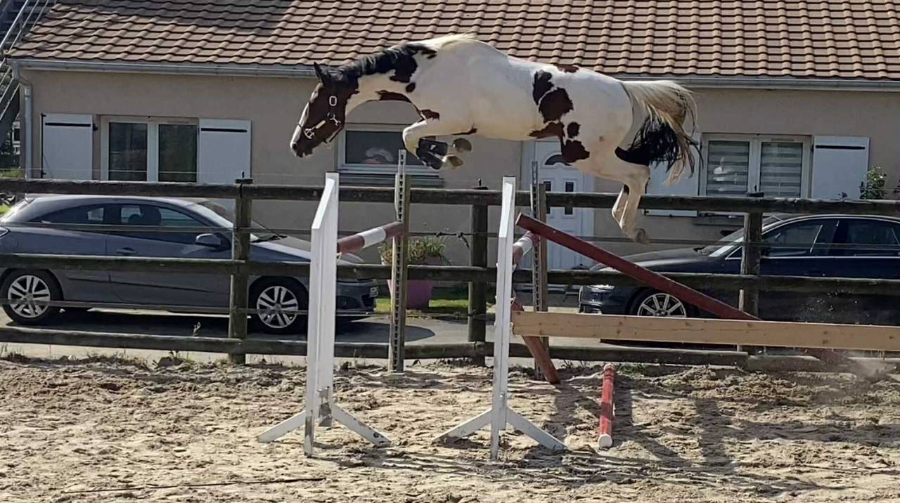 Intero Origine non conosciuta  In vendita 2025 Grigio