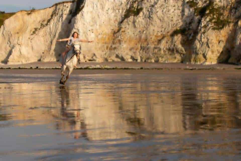 Intero Origine non conosciuta  In vendita 2025 Grigio