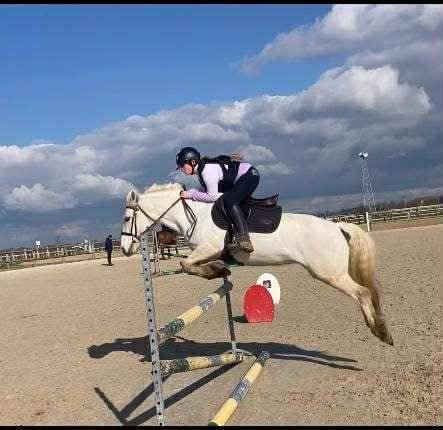 Intero Origine non conosciuta  In vendita 2025 Grigio