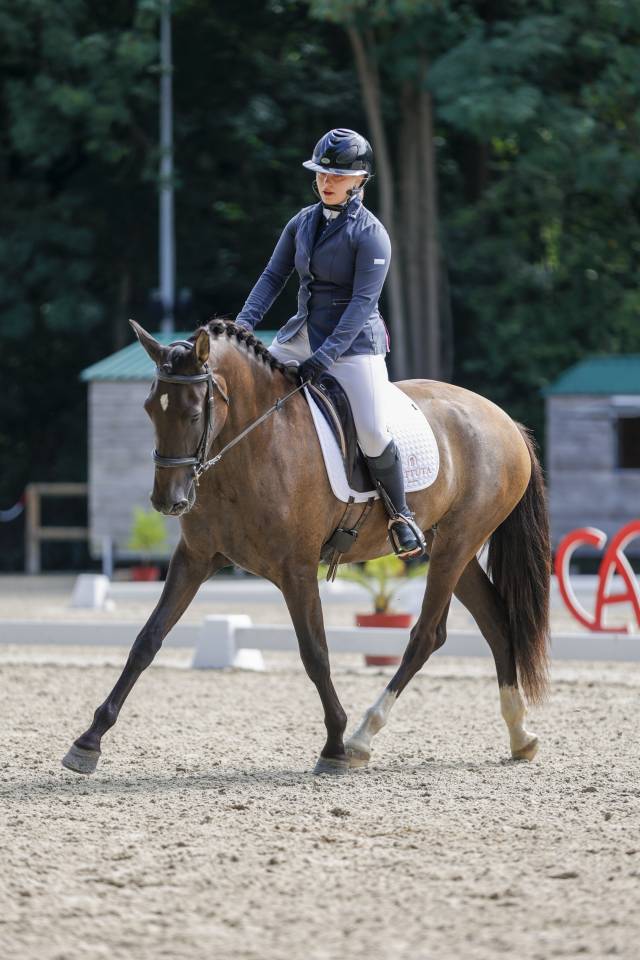 Cavalla PRE Andaluso In vendita 2021 Nero