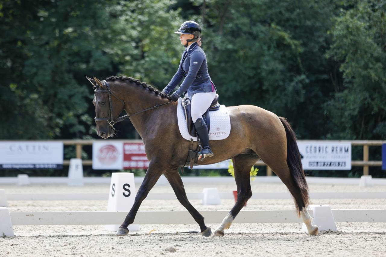 Cavalla PRE Andaluso In vendita 2021 Nero