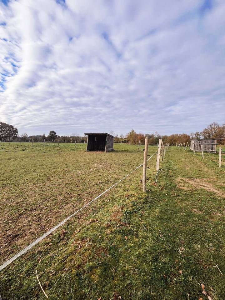 Bella dimora equestre In vendita Ile-et-Vilaine