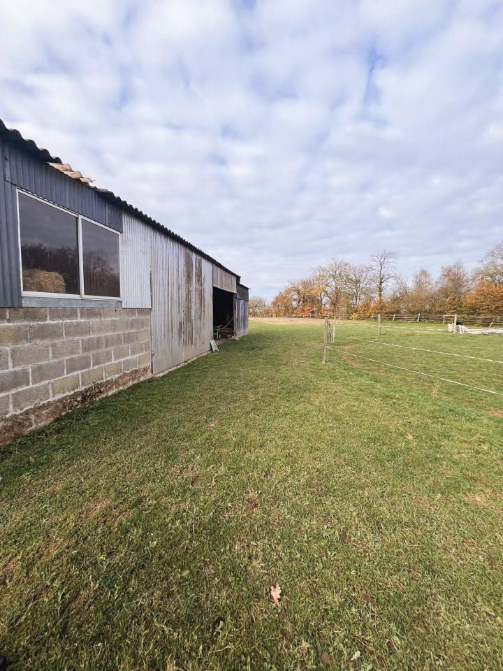 Bella dimora equestre In vendita Ile-et-Vilaine