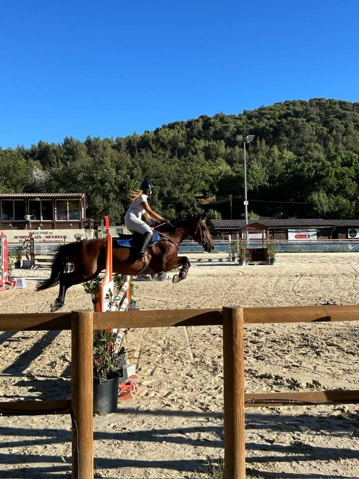 Cavalla PFS Pony Francese da Sella In vendita 2018 Baio scuro ,  Noir sur Blanc Mahoud PFS (Linaro)