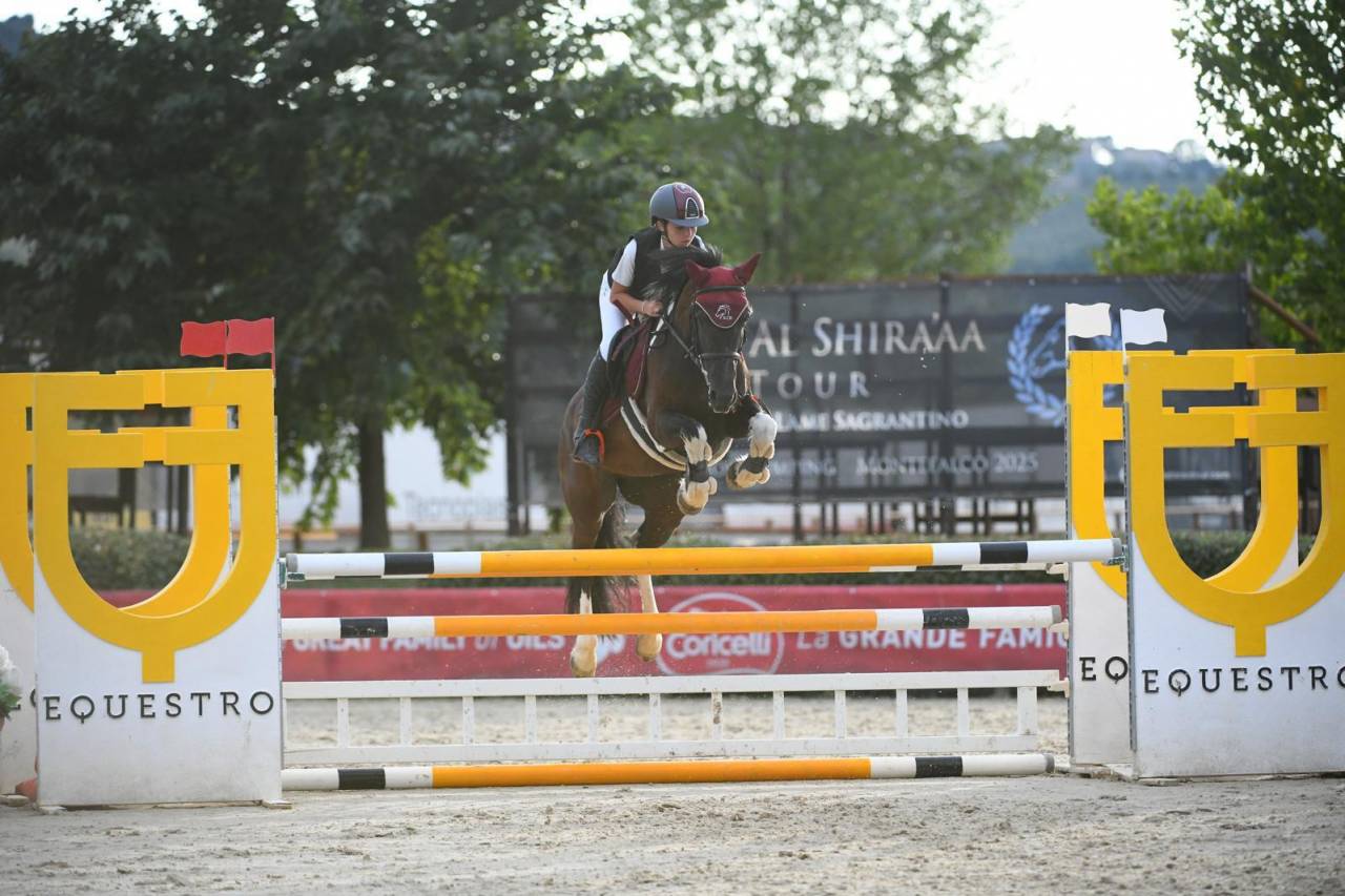 Pony femmina del 2015, cat. 110