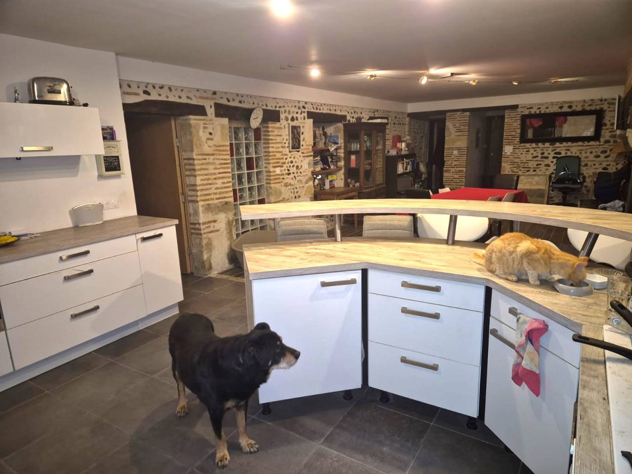 Proprietà equestre In vendita Landes