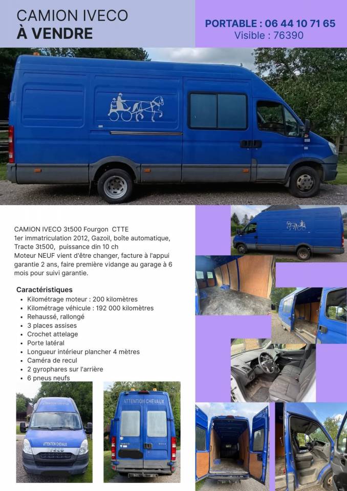 Van per Cavalli Iveco DAILY 2012 Occasione