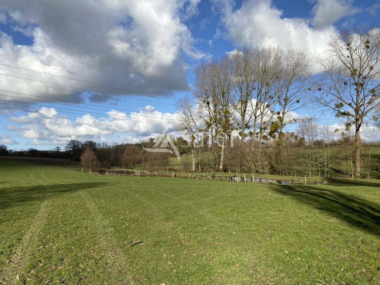 Azienda lattaia In vendita Calvados