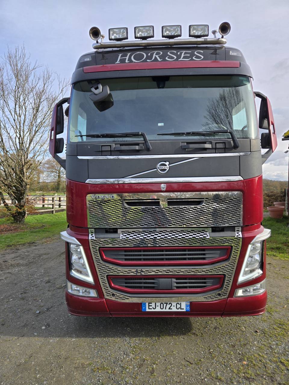 Camion per Cavalli Volvo FH 460CH EURO6 2017 Occasione
