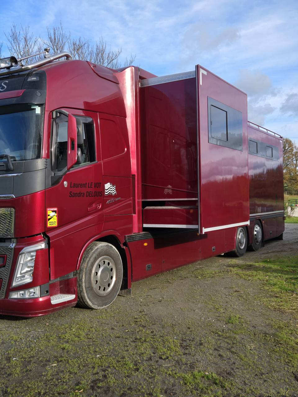 Camion per Cavalli Volvo FH 460CH EURO6 2017 Occasione