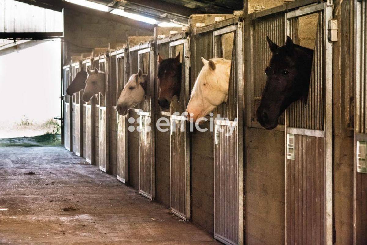 Propriet&agrave; equestre In vendita Gers