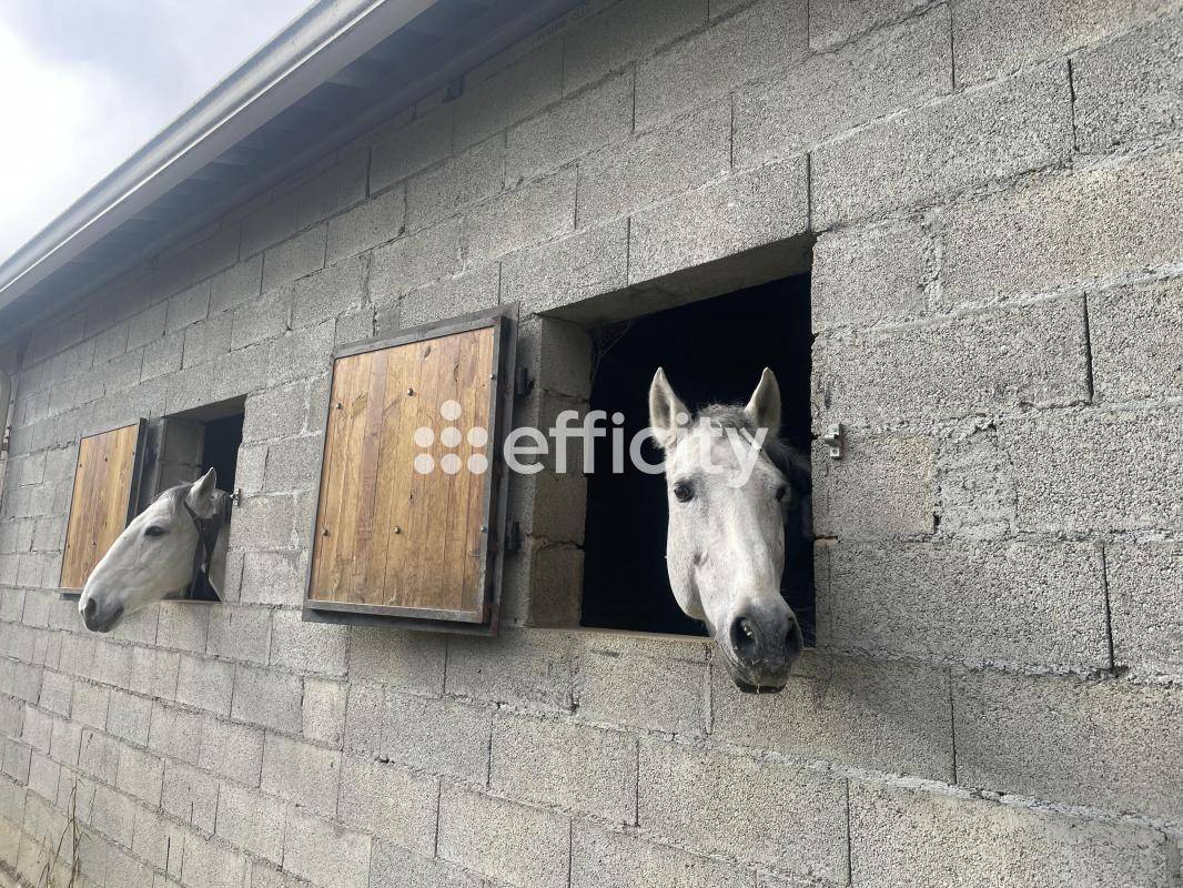 Propriet&agrave; equestre In vendita Gers