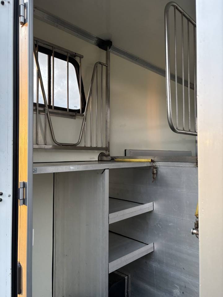 Van per Cavalli Renault Master 2017 Occasione