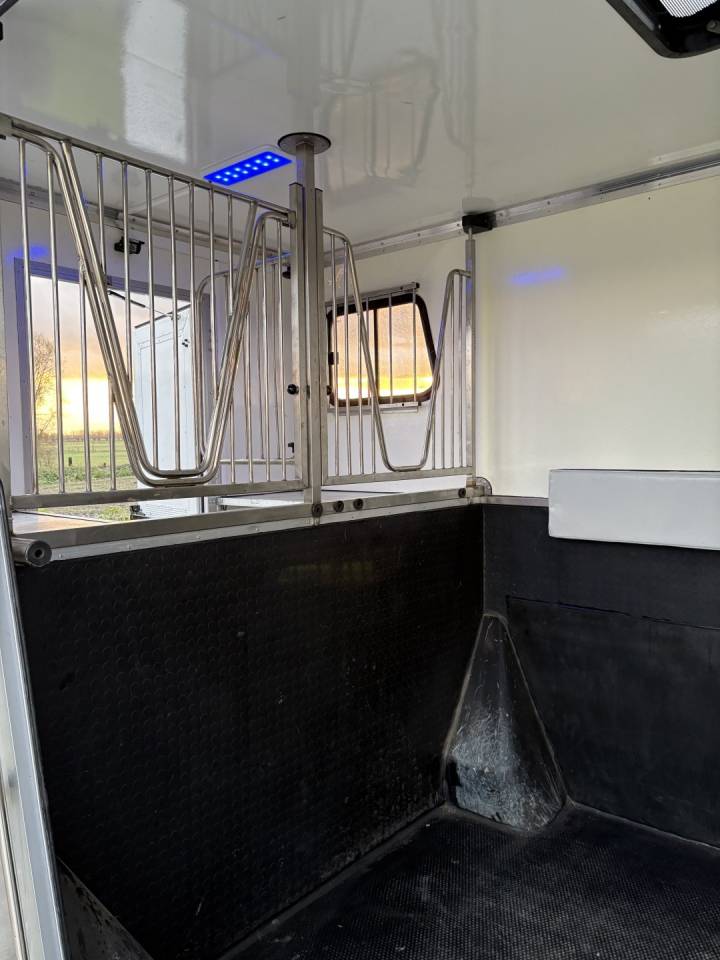 Van per Cavalli Renault Master 2017 Occasione