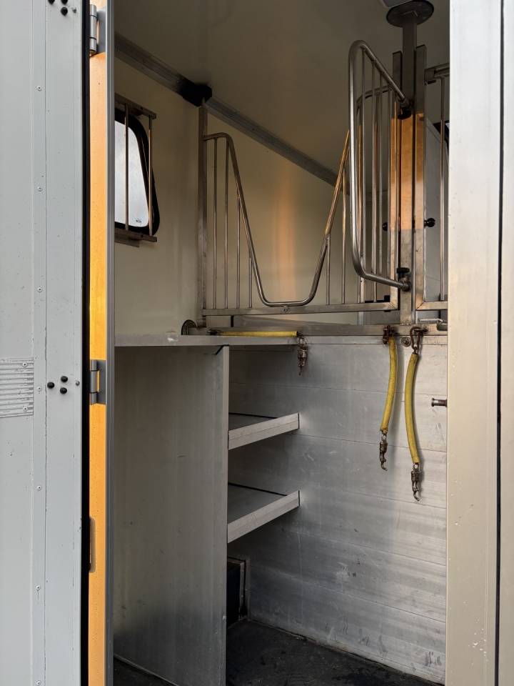 Van per Cavalli Renault Master 2017 Occasione