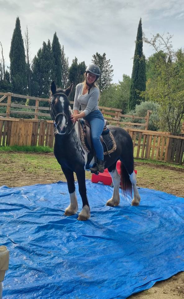 Castrone Origine Non Constatata In vendita 2022 Pezzato