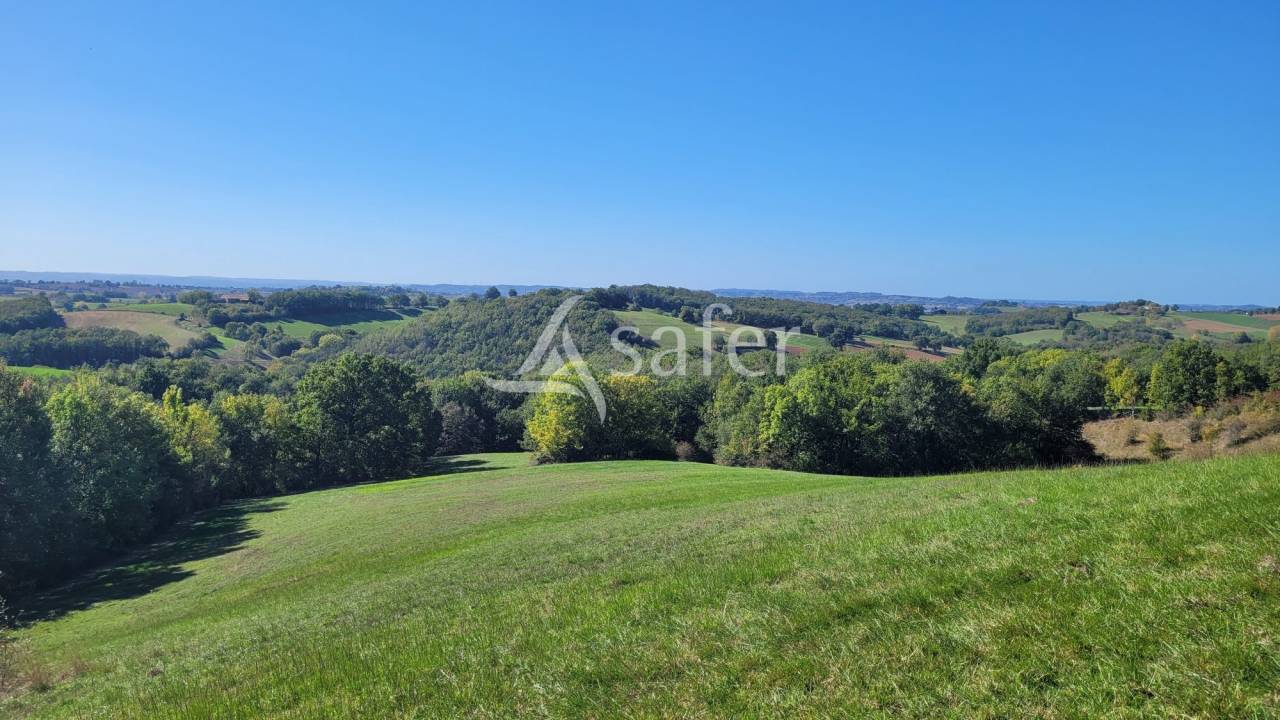 Azienda agricola In vendita tarn