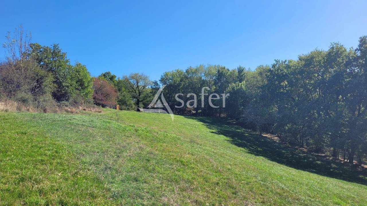 Azienda agricola In vendita tarn