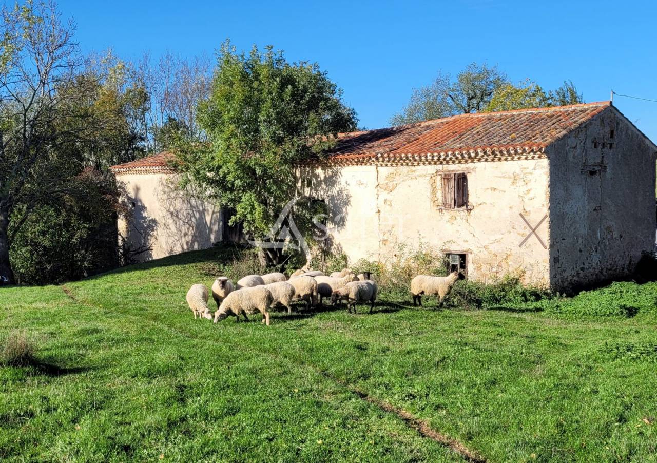 Azienda agricola In vendita tarn