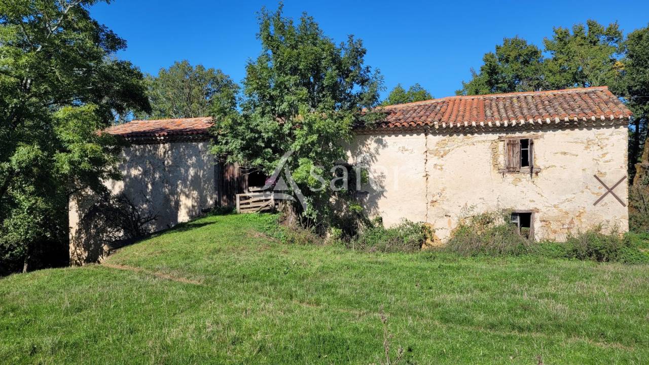 Azienda agricola In vendita tarn