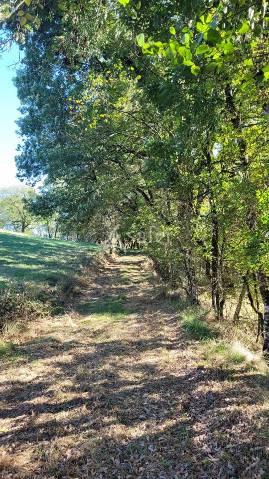 Azienda agricola In vendita tarn