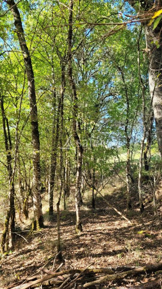 Azienda agricola In vendita tarn