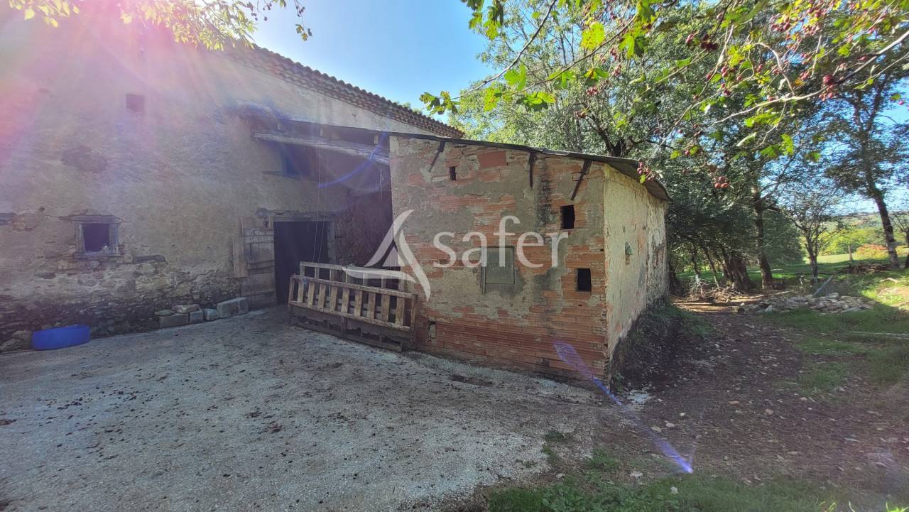 Azienda agricola In vendita tarn