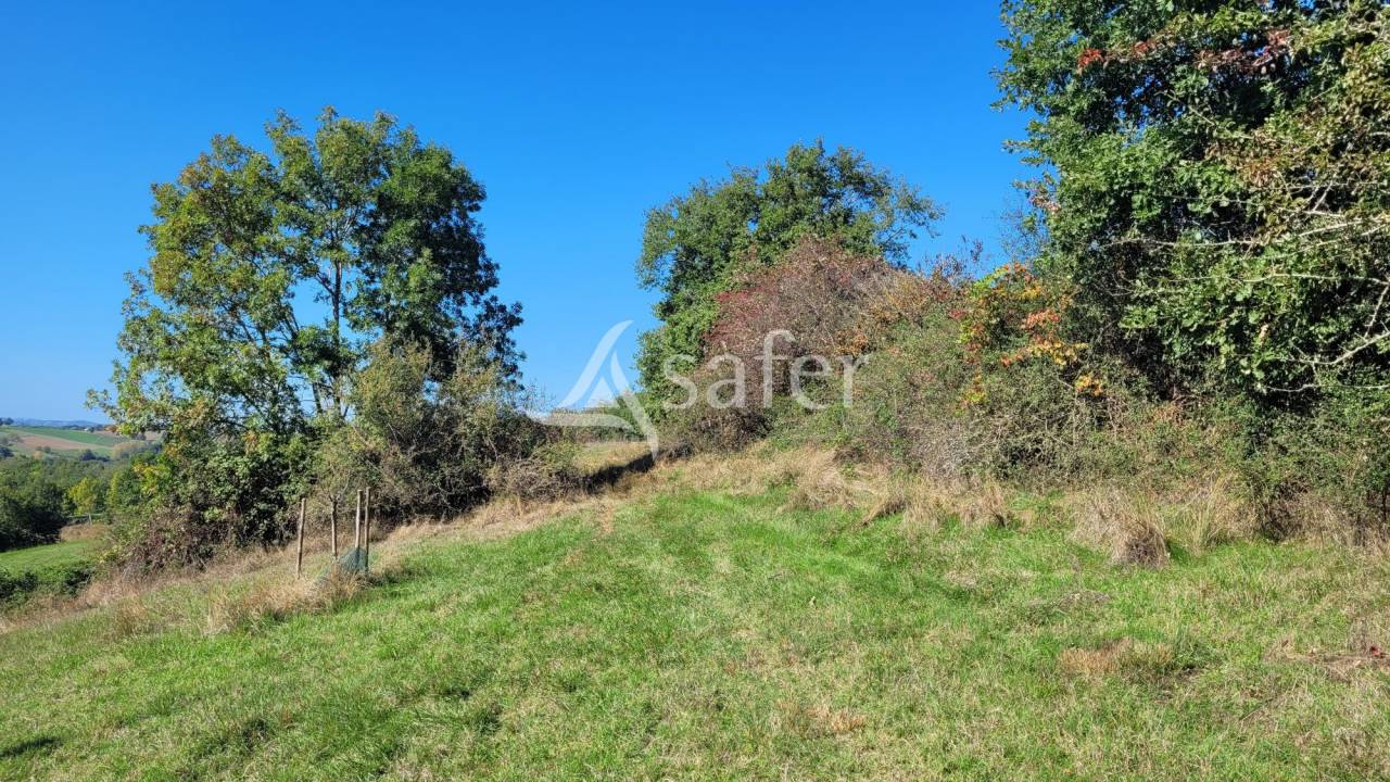 Azienda agricola In vendita tarn