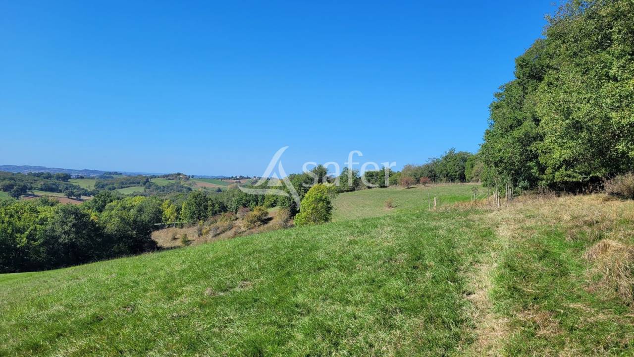 Azienda agricola In vendita tarn