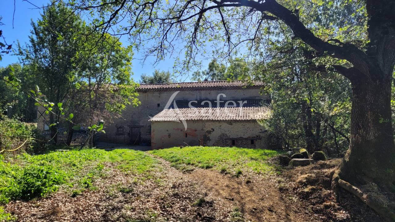 Azienda agricola In vendita tarn