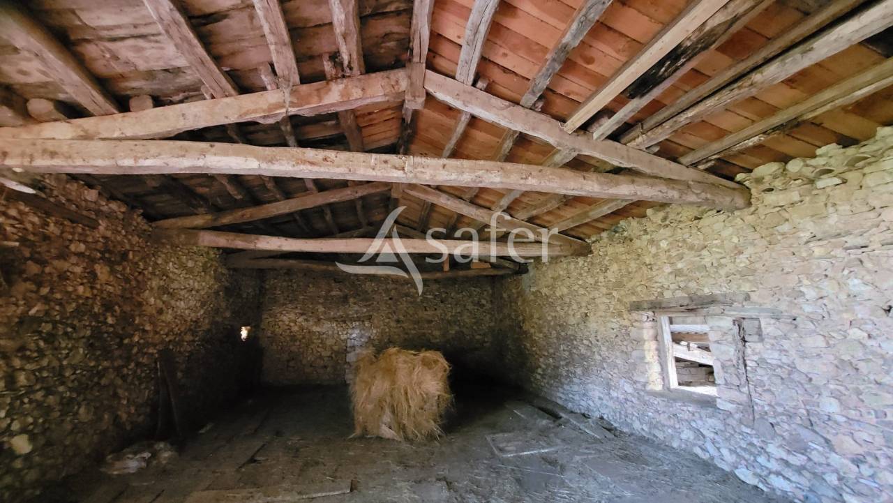 Azienda agricola In vendita tarn