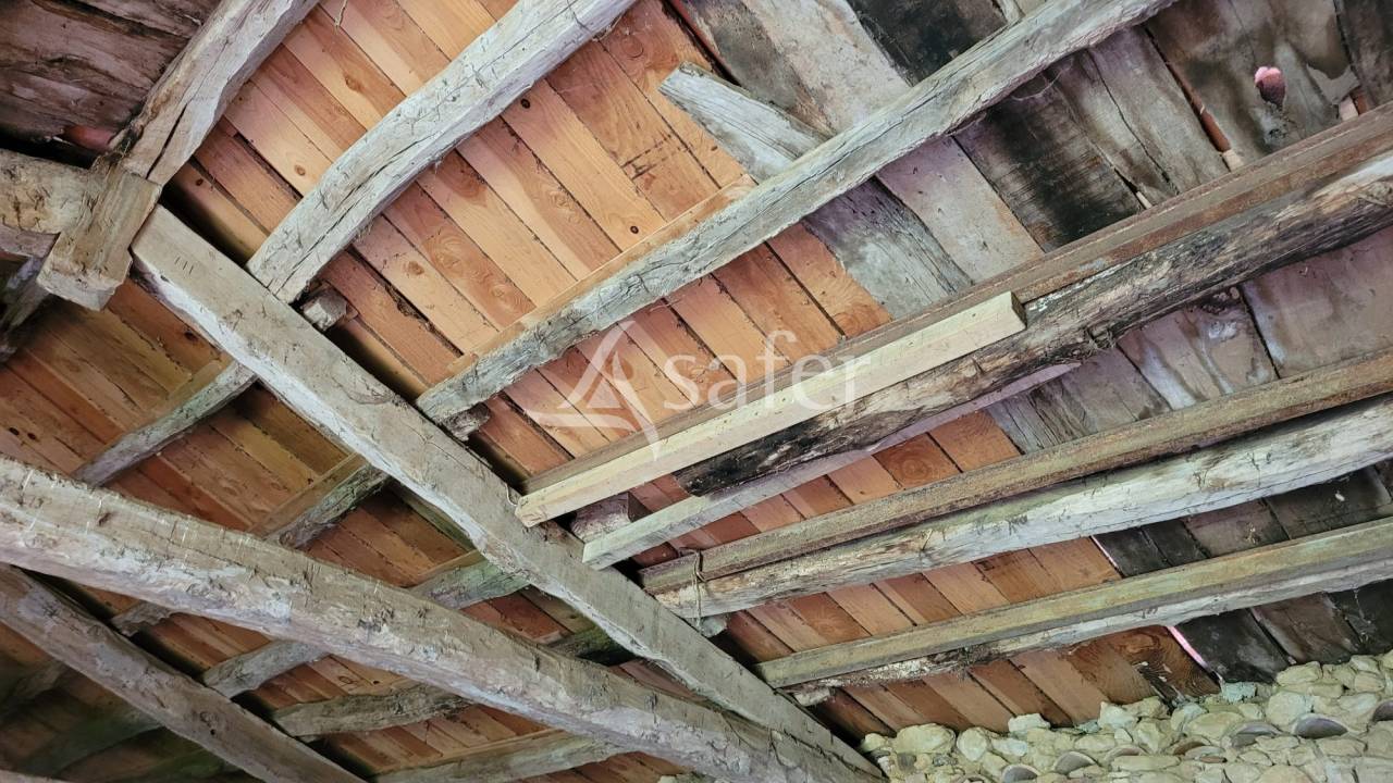 Azienda agricola In vendita tarn