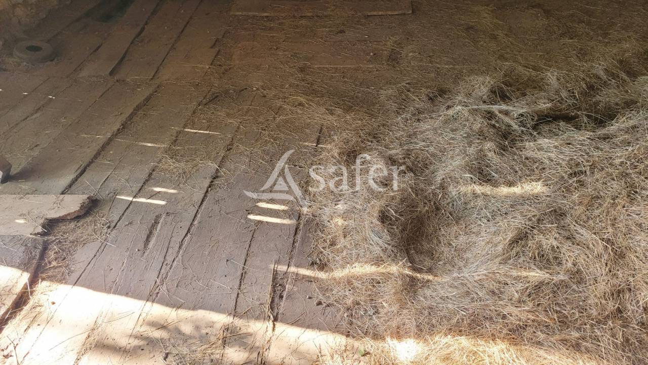 Azienda agricola In vendita tarn