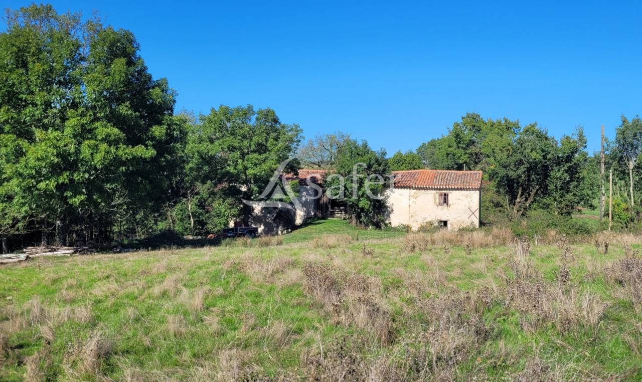 Azienda agricola In vendita tarn
