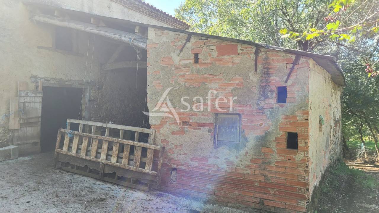 Azienda agricola In vendita tarn