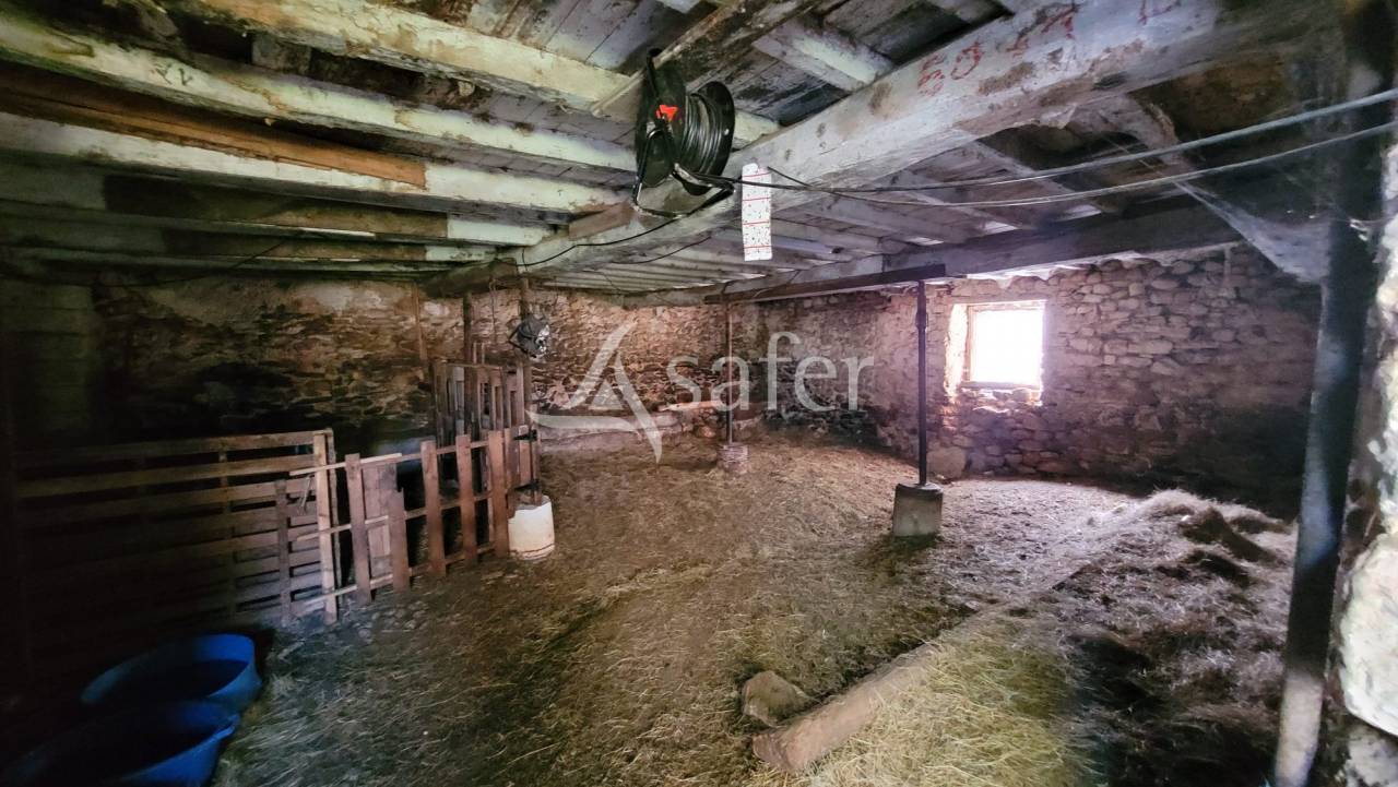 Azienda agricola In vendita tarn